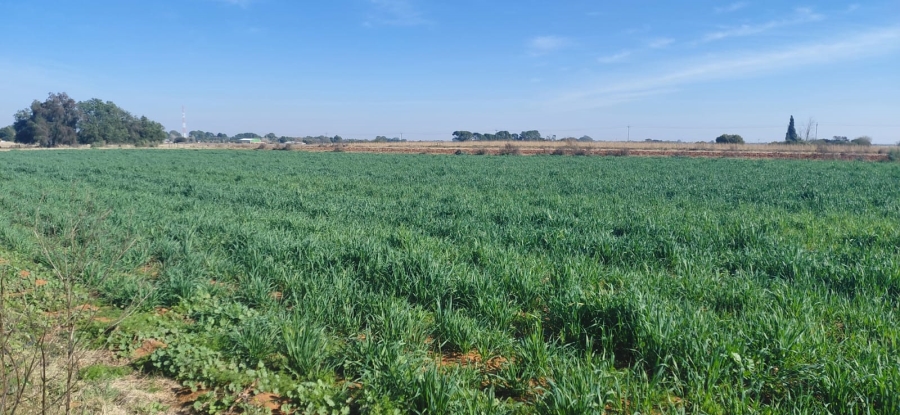 4 Bedroom Property for Sale in Bainsvlei Free State